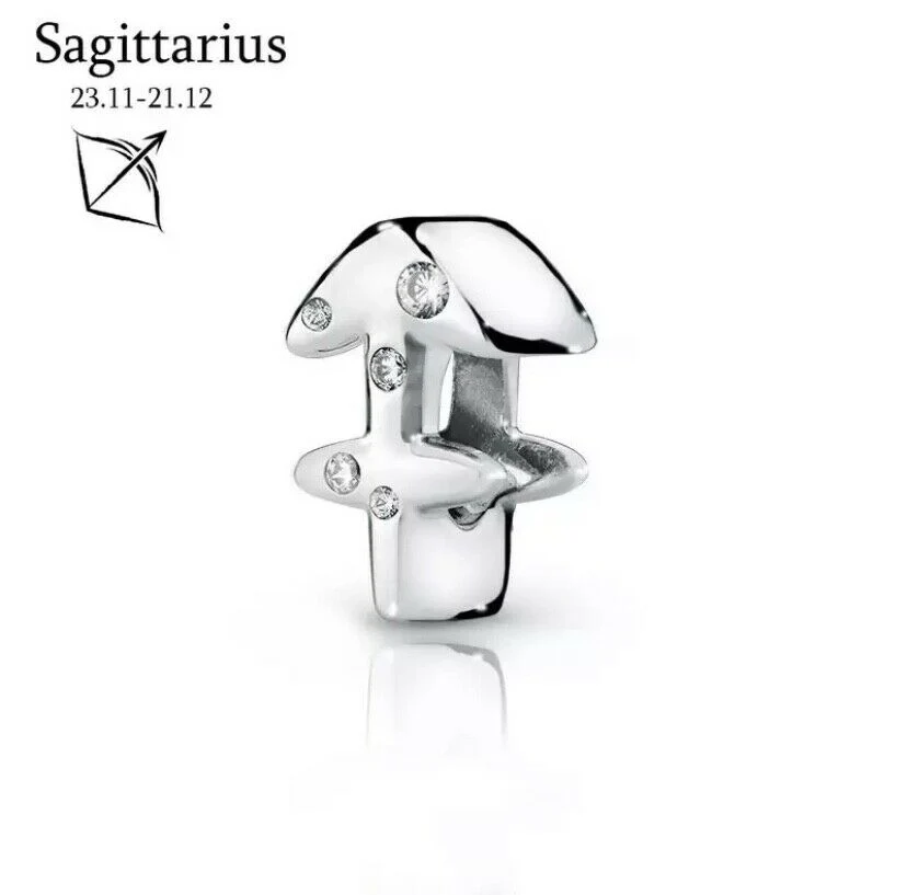 S925 Zodiac Sterling Silver Charm Collection - Image 13