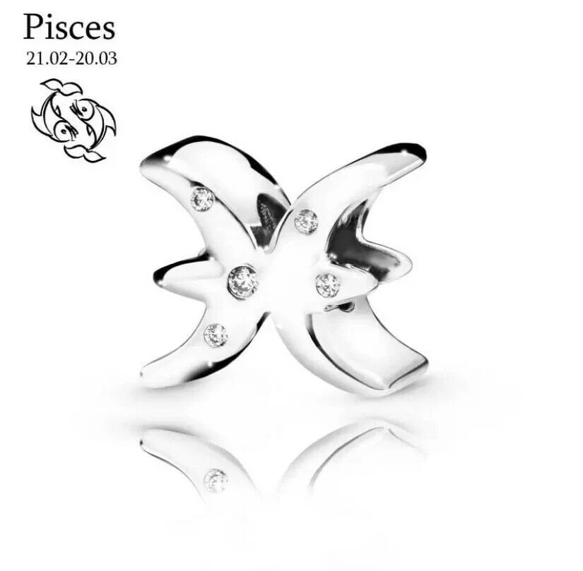 S925 Zodiac Sterling Silver Charm Collection - Image 9